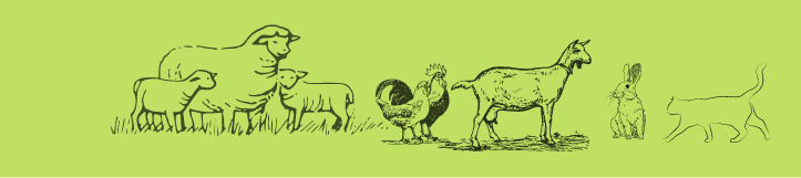 Des dessins d'animaux de la ferme